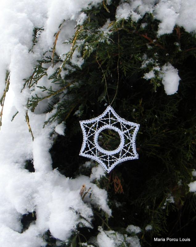 Etoile pour Noël